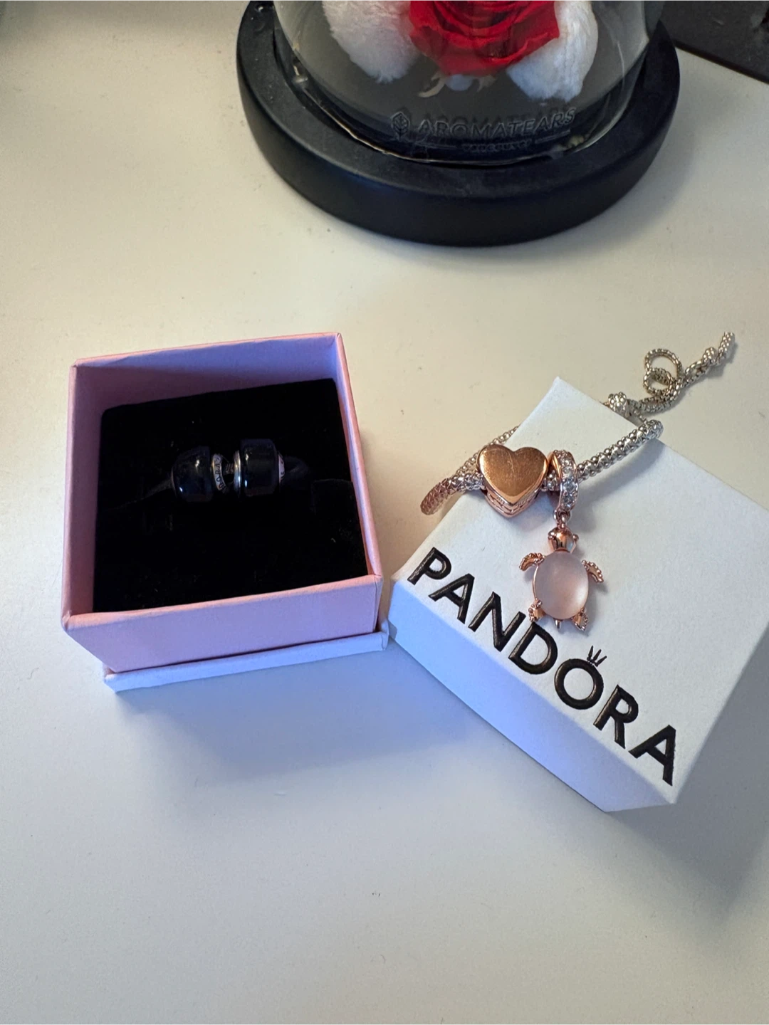 Pandora Necklace and Charms