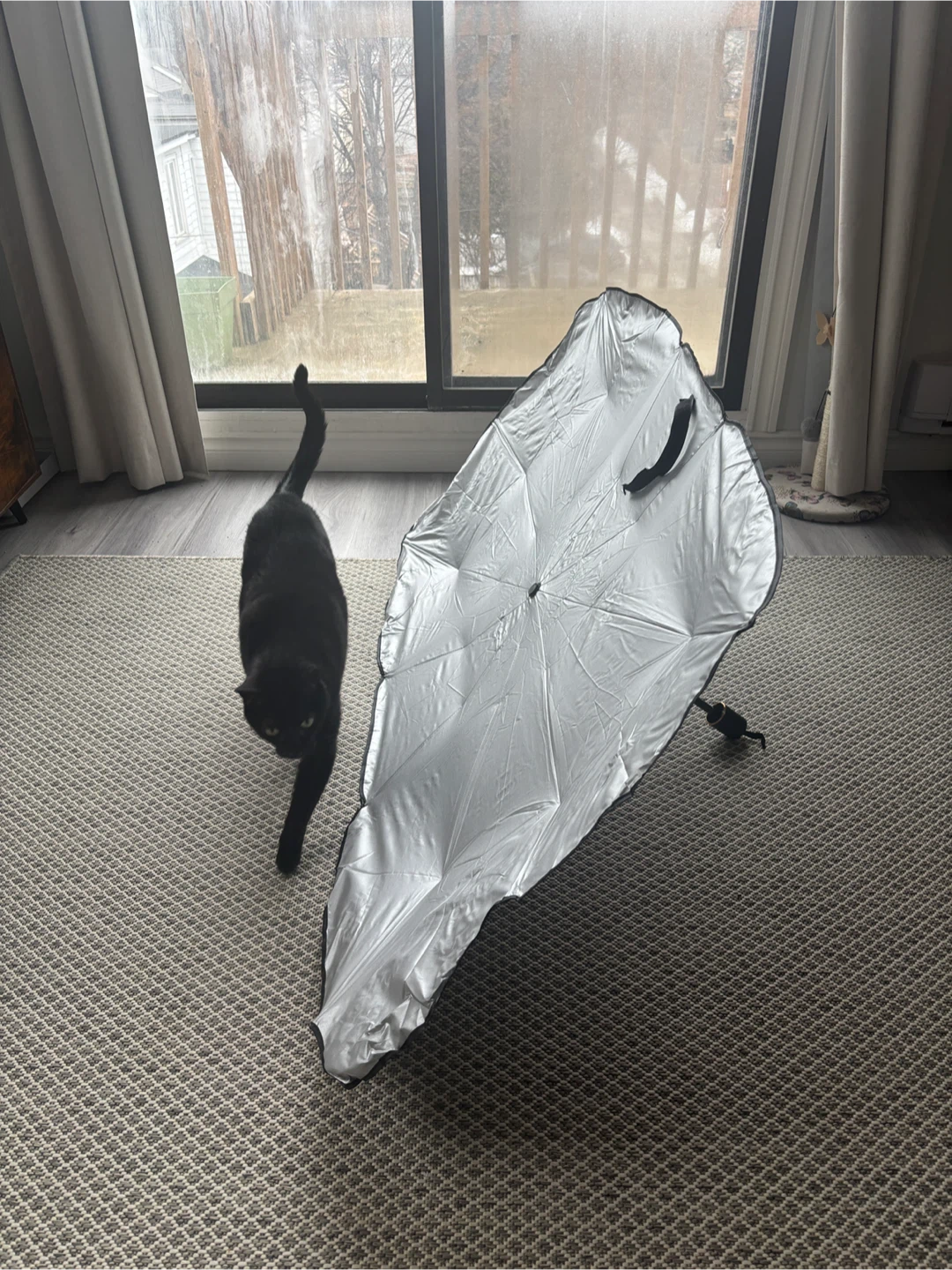 Car Windshield Sunshade Umbrella