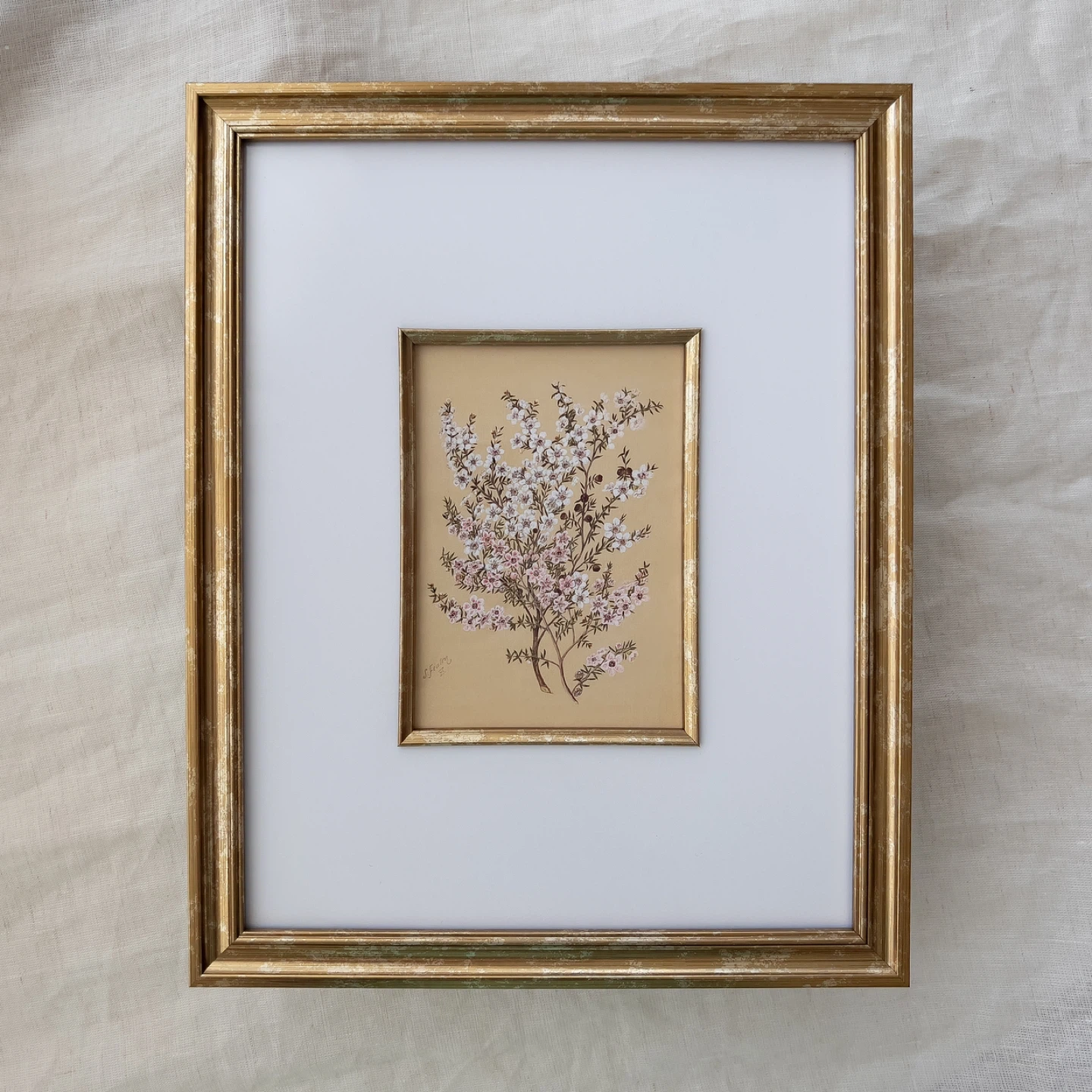 Manuka Flower Vintage Art Print - photo 2
