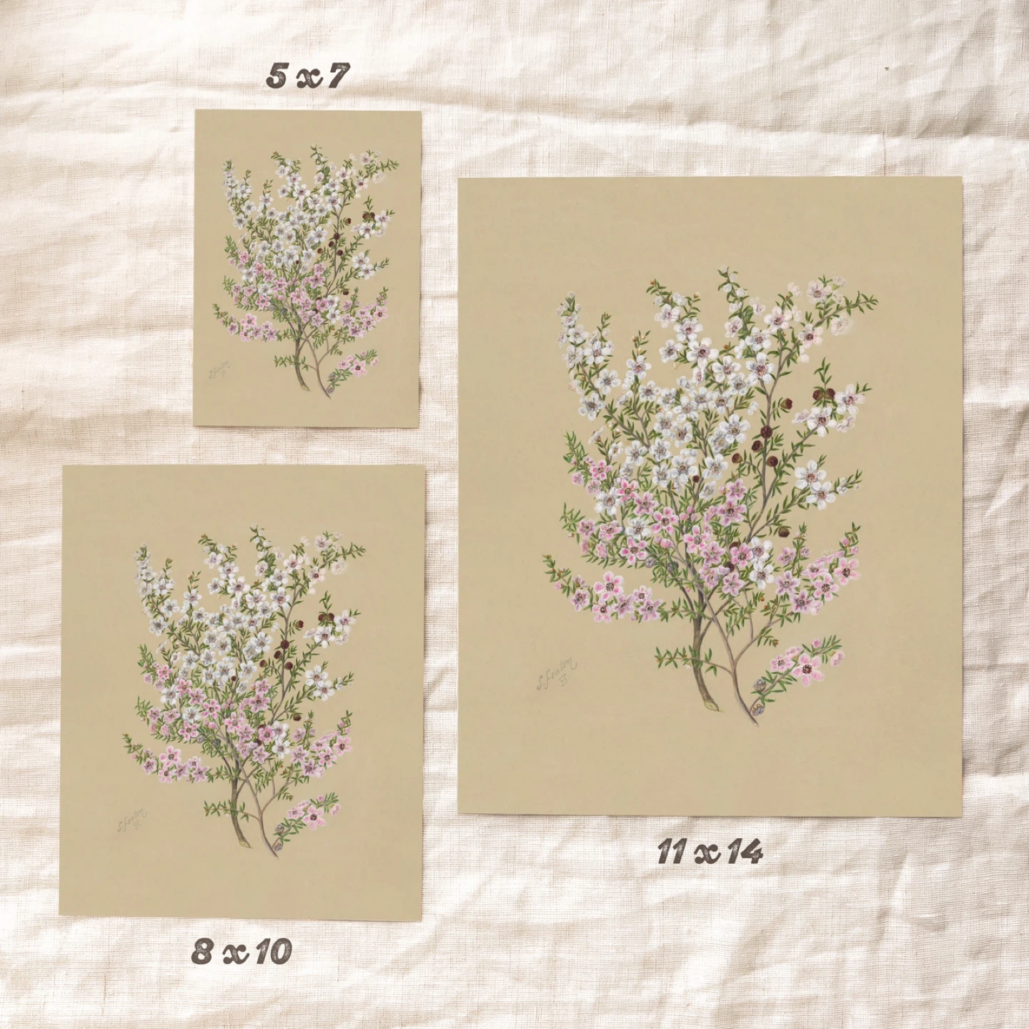 Manuka Flower Vintage Art Print - photo 4