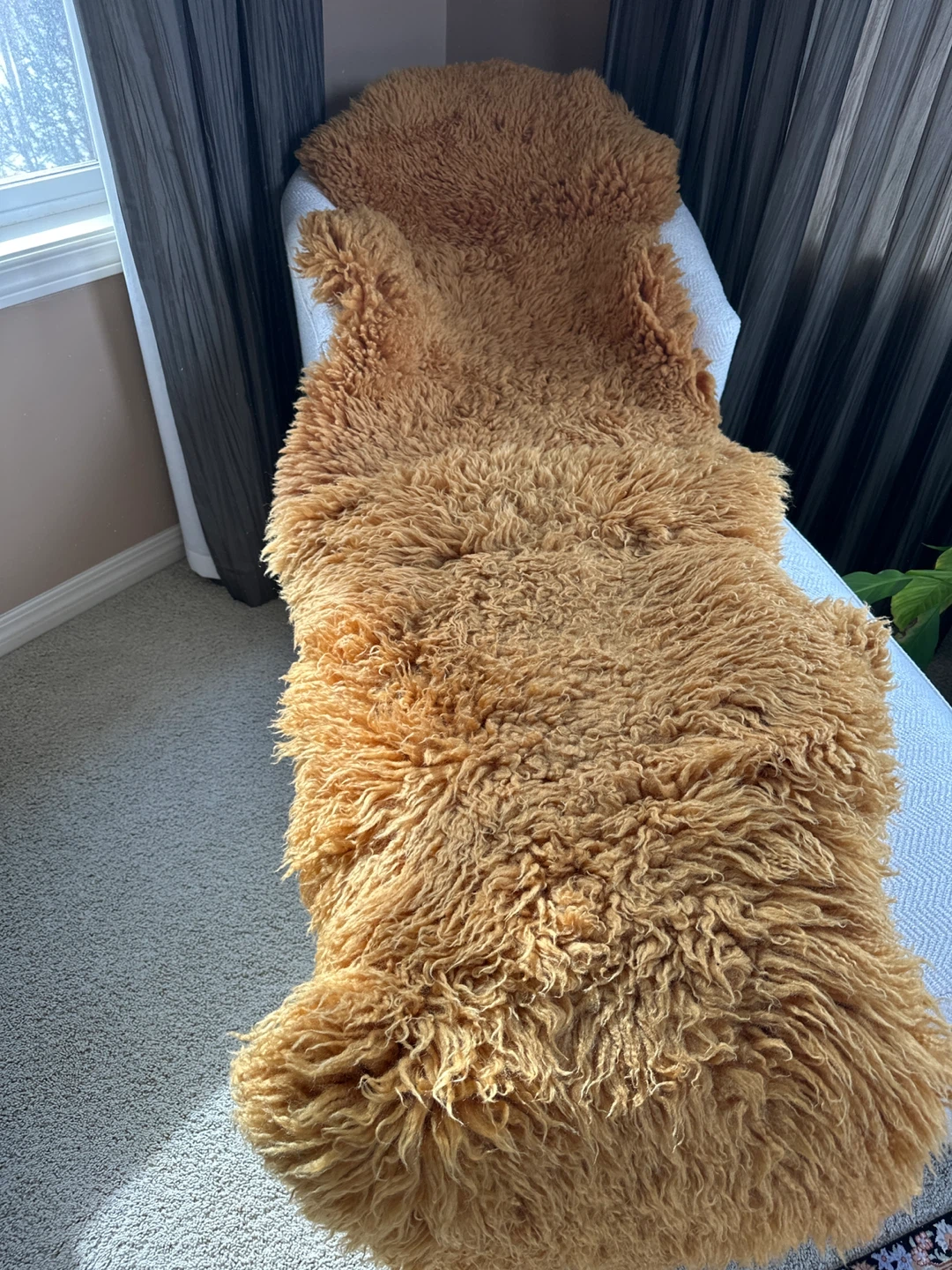 Sheepskin Australian Amber