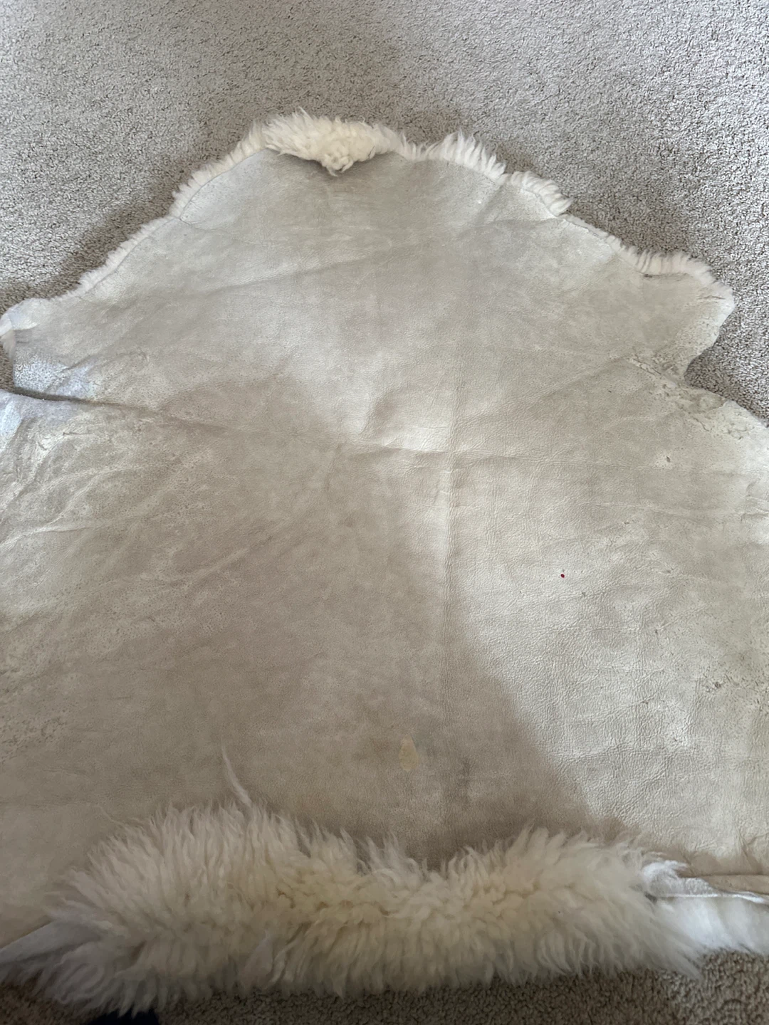 Sheepskin Australian off white - photo 3