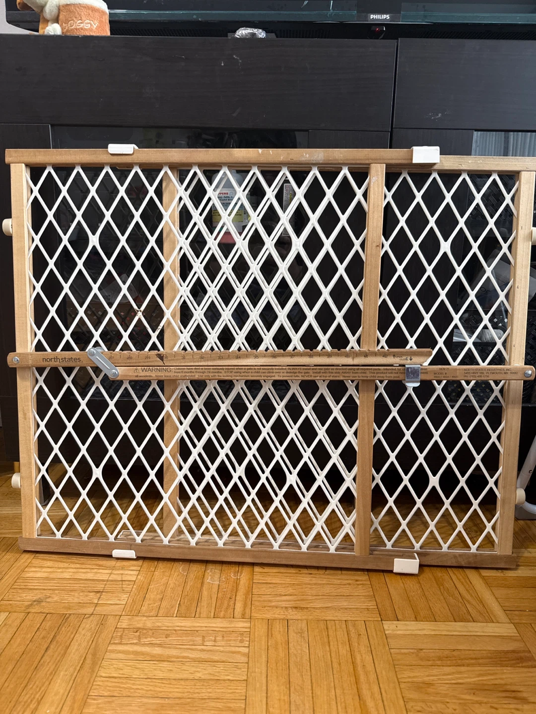 Gate for kids