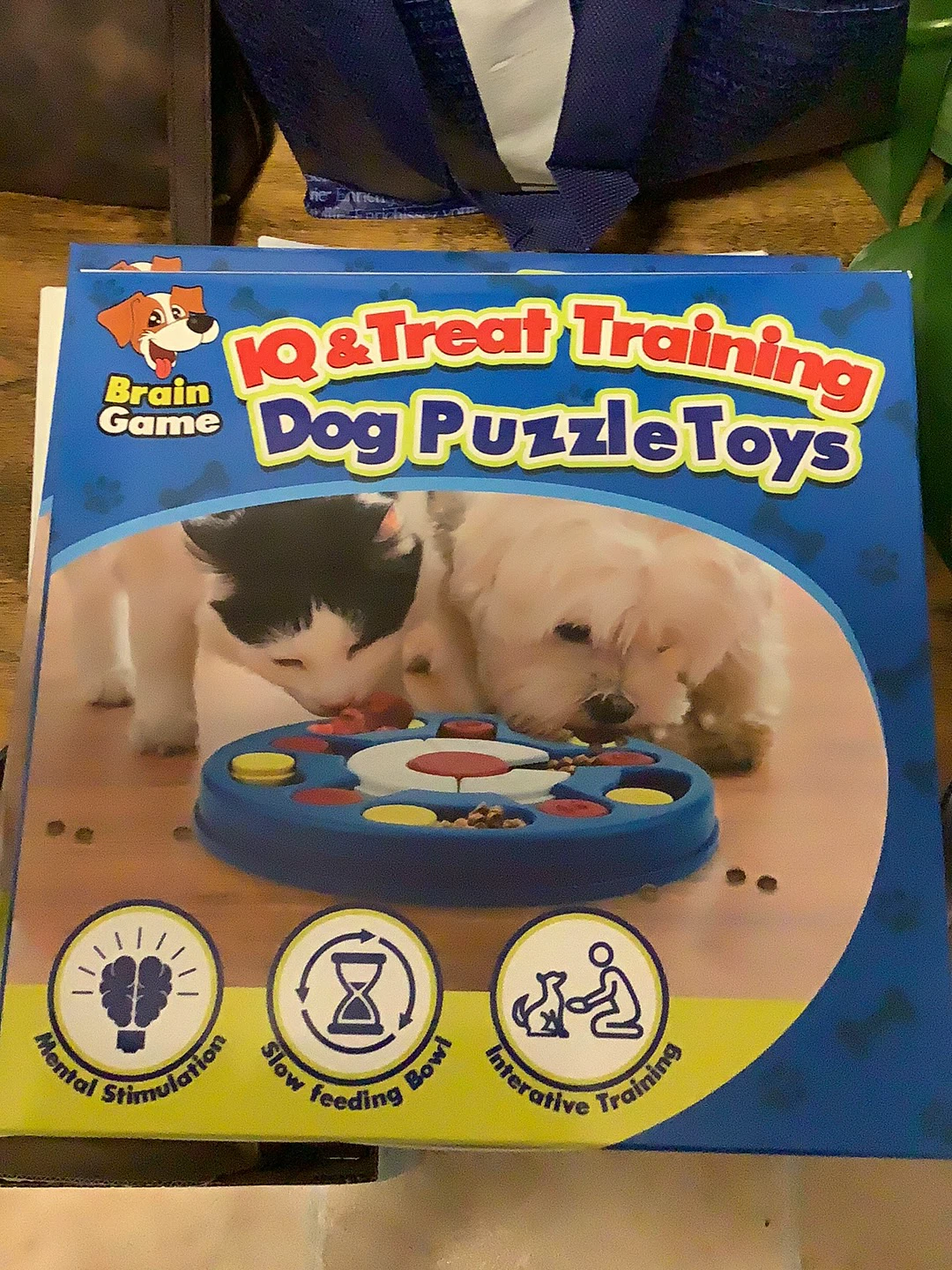 IQ & Treat Training Dog Puzzle Toy