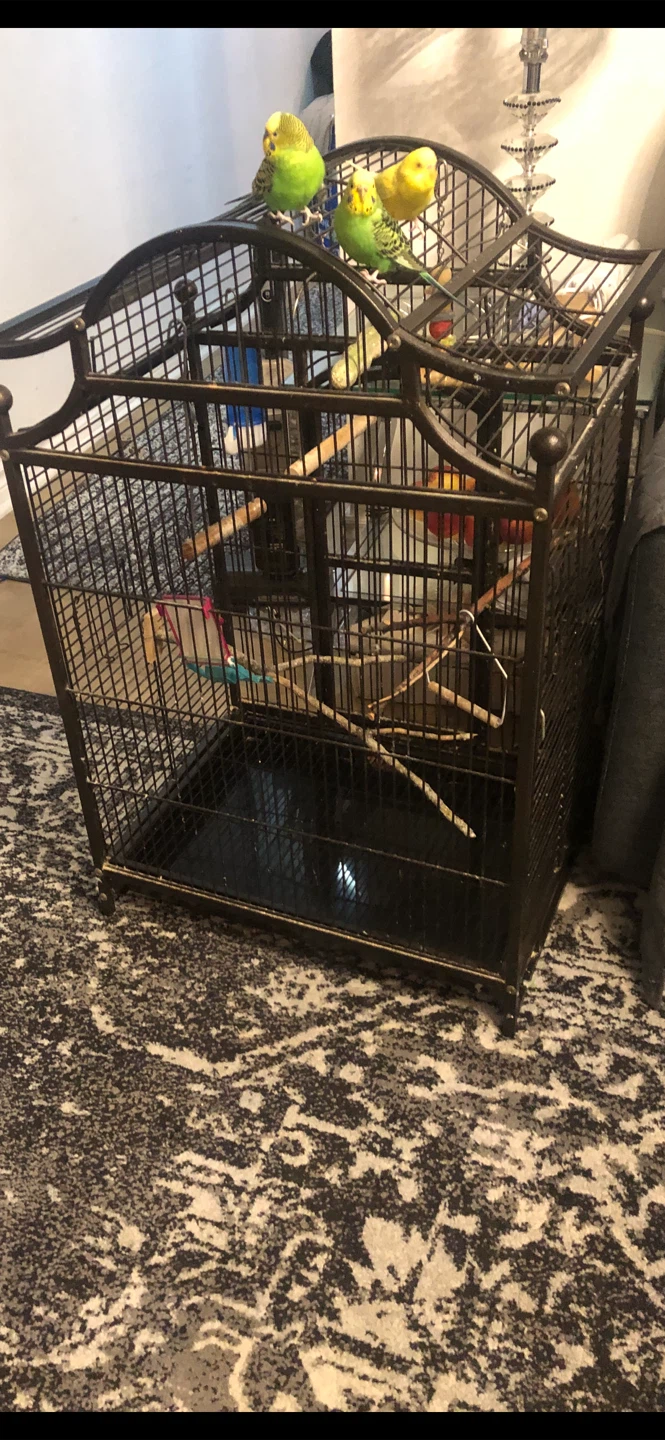 Metal Bird Cage with Perches - photo 4