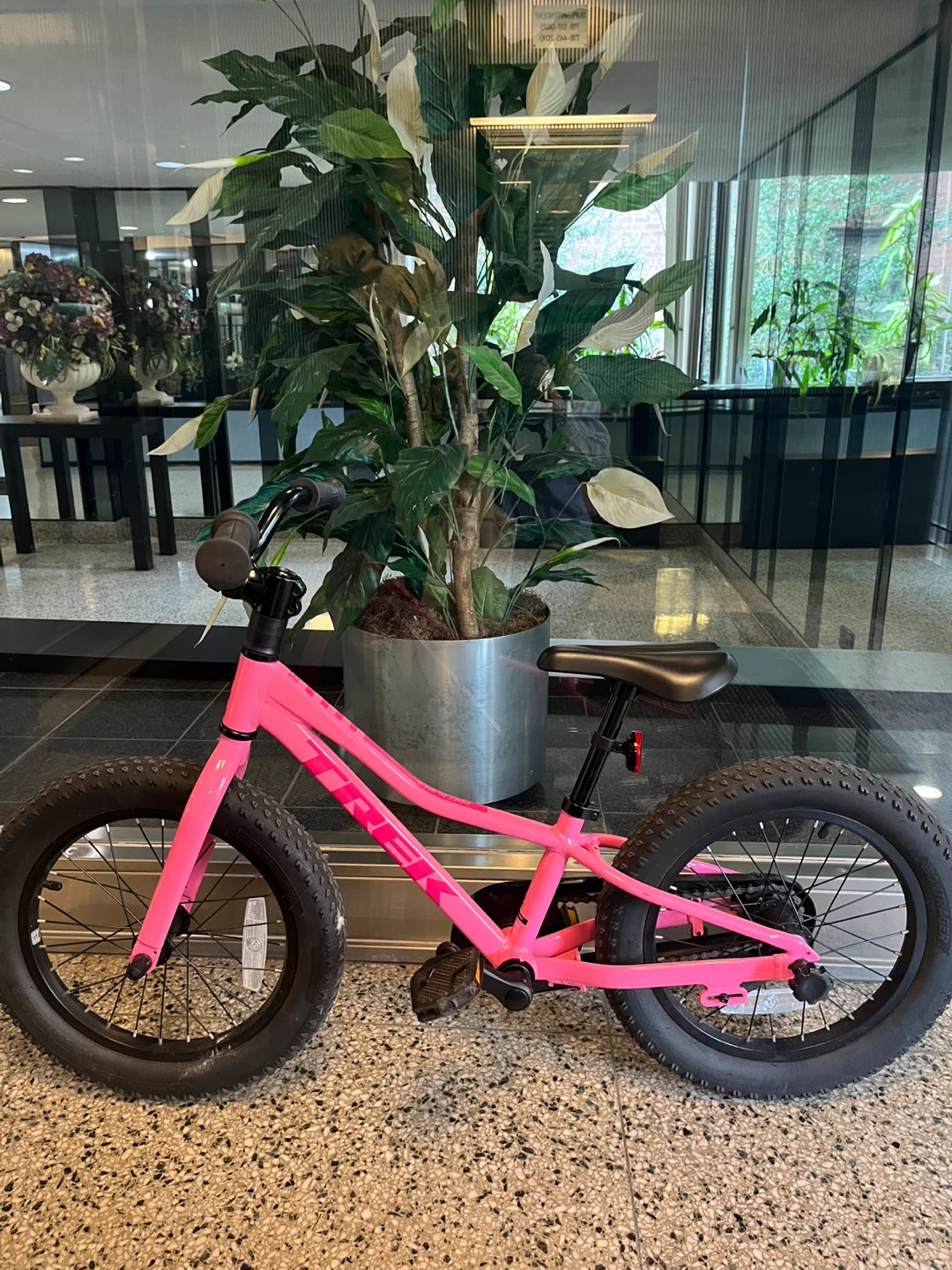 Trek 16'' Girls' Bike with Training Wheels