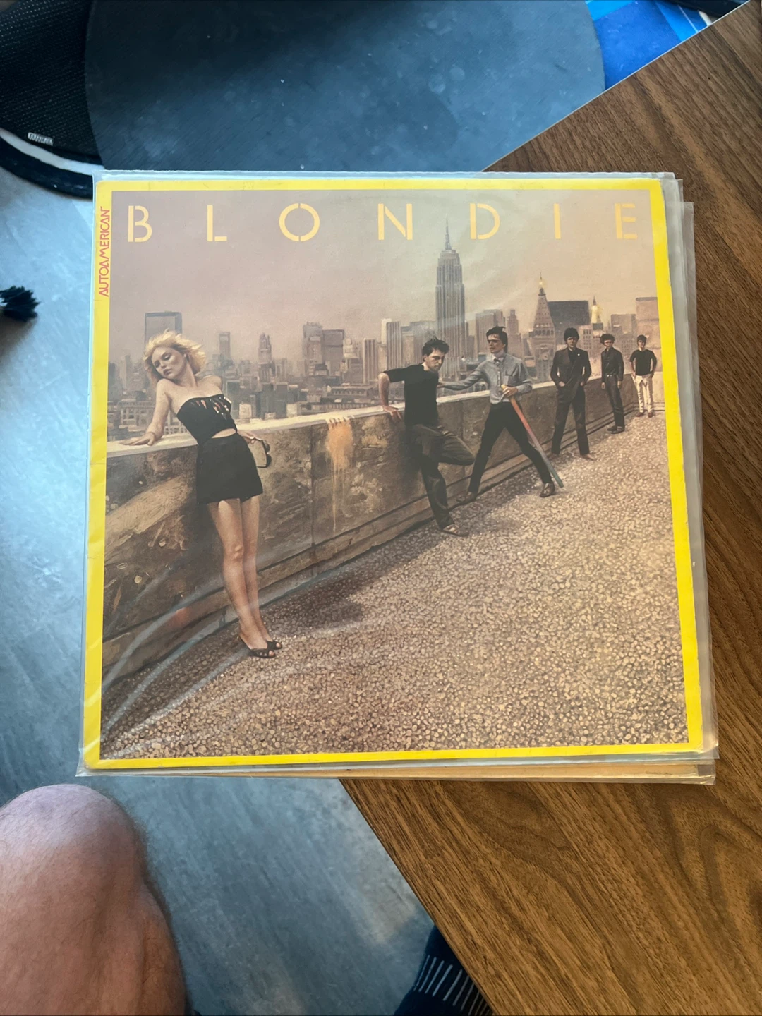 Mixed Vinyl - photo 4