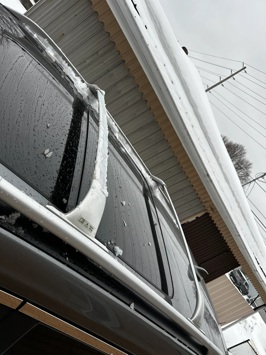 OEM Nissan Rogue Roof Rack Crossbars (2014–2020)