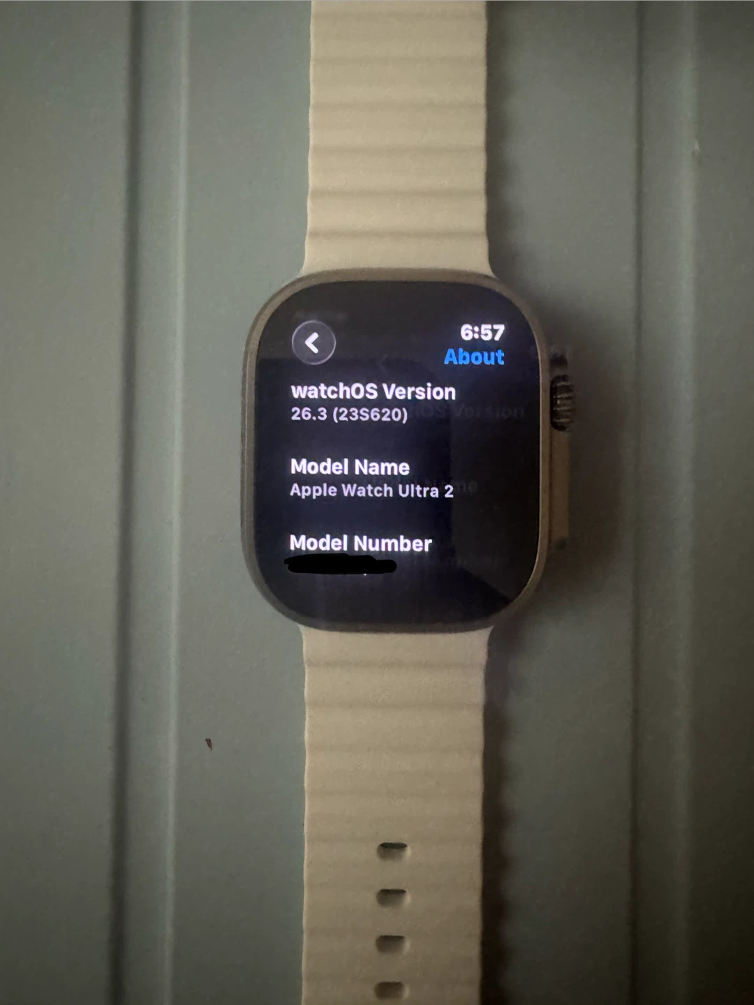 Apple Watch Ultra 2 w 64 gb - photo 3
