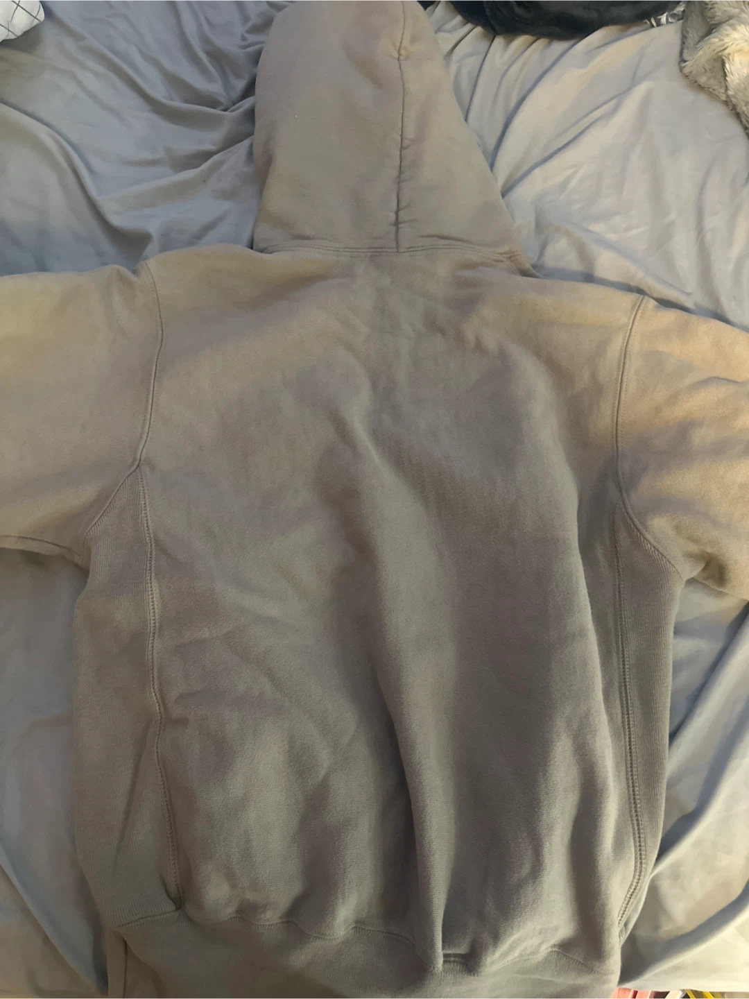 Champion  Hoodie - photo 2