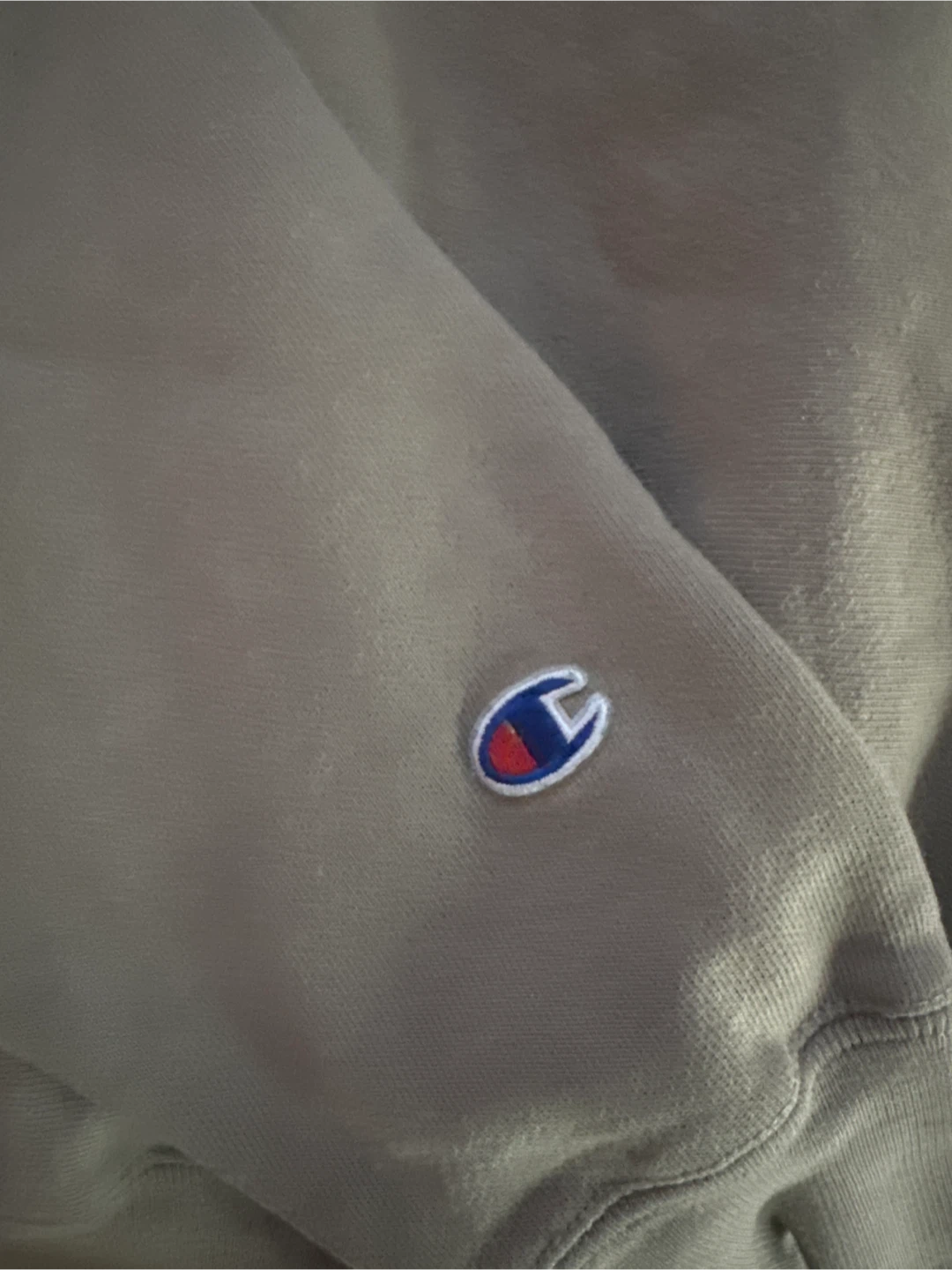 Champion  Hoodie - photo 3