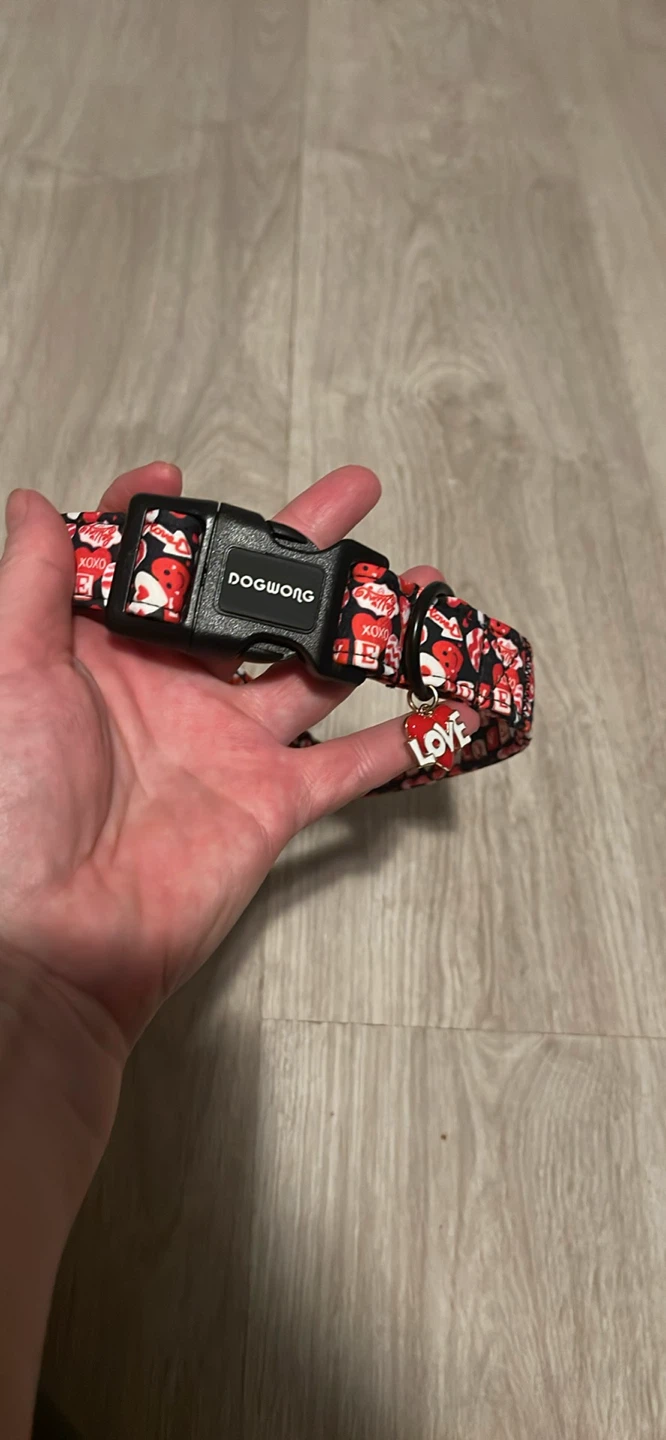 DogWong Red Heart Dog Collar - XSmall