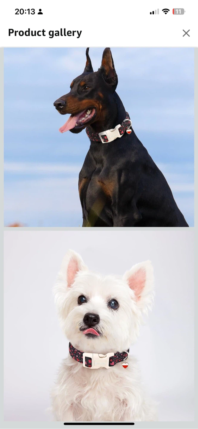 DogWong Red Heart Dog Collar - XSmall - photo 4