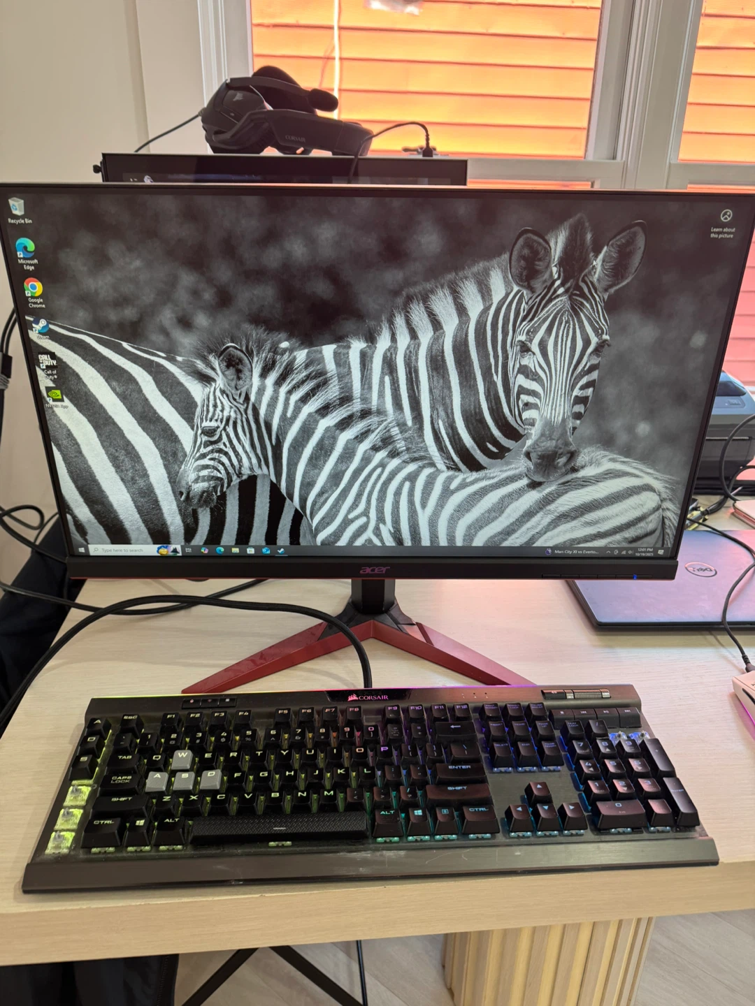 Acer Gaming Monitor