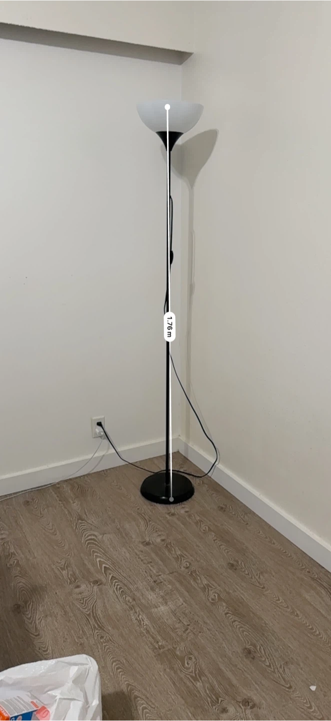 Black Floor Lamp with Frosted Shade - photo 3