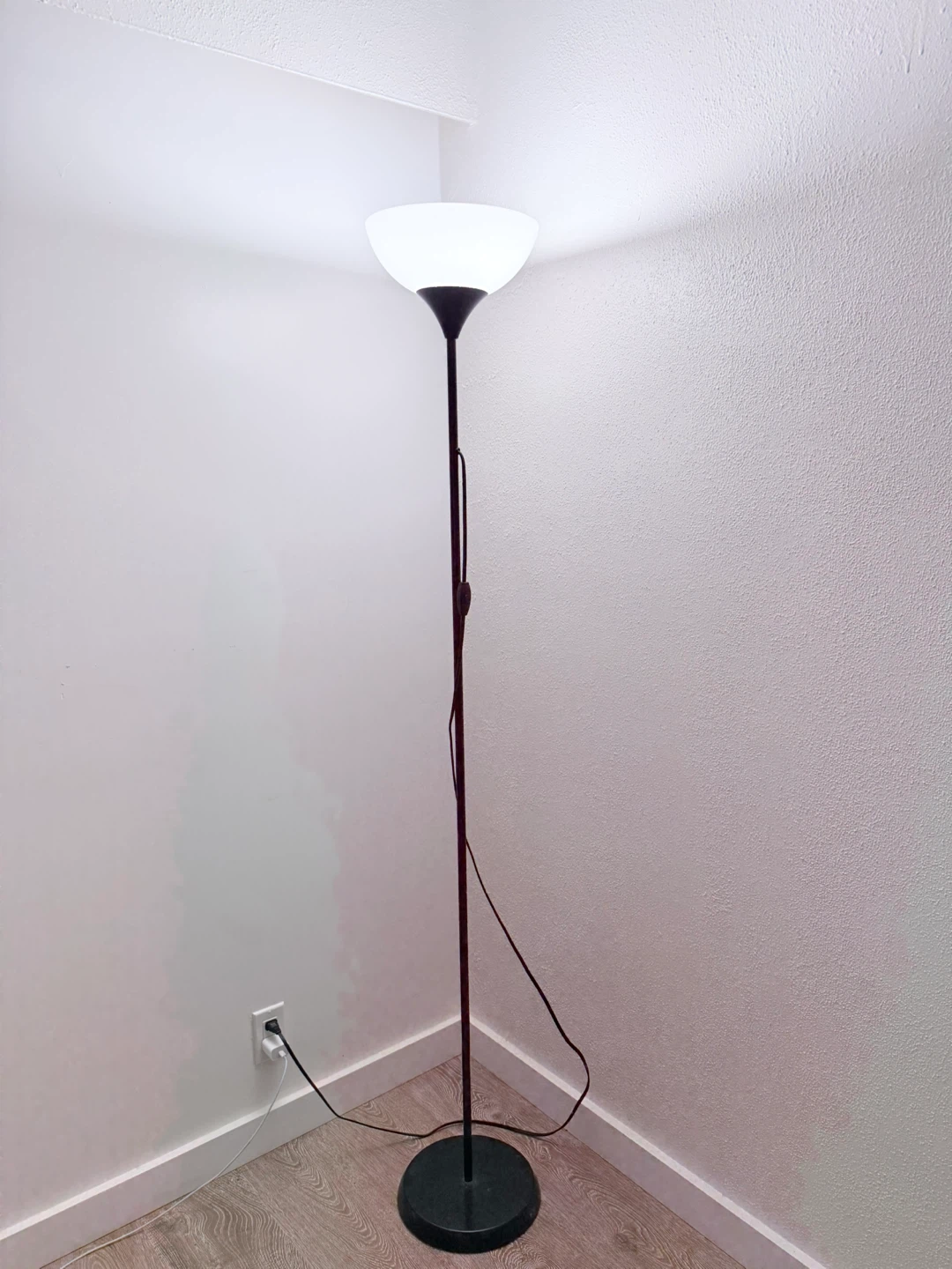 Black Floor Lamp with Frosted Shade