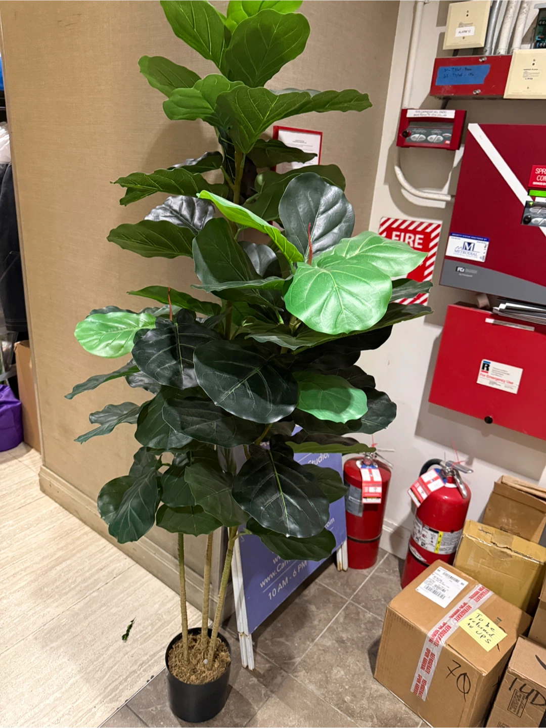 Artificial Fiddle Leaf Fig Tree - 6ft - photo 2