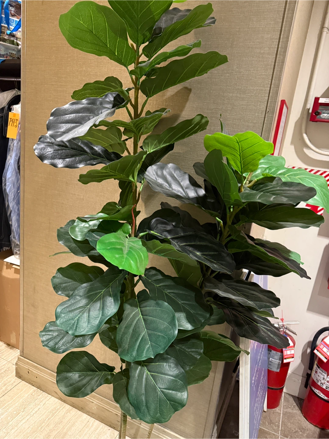 Artificial Fiddle Leaf Fig Tree - 6ft