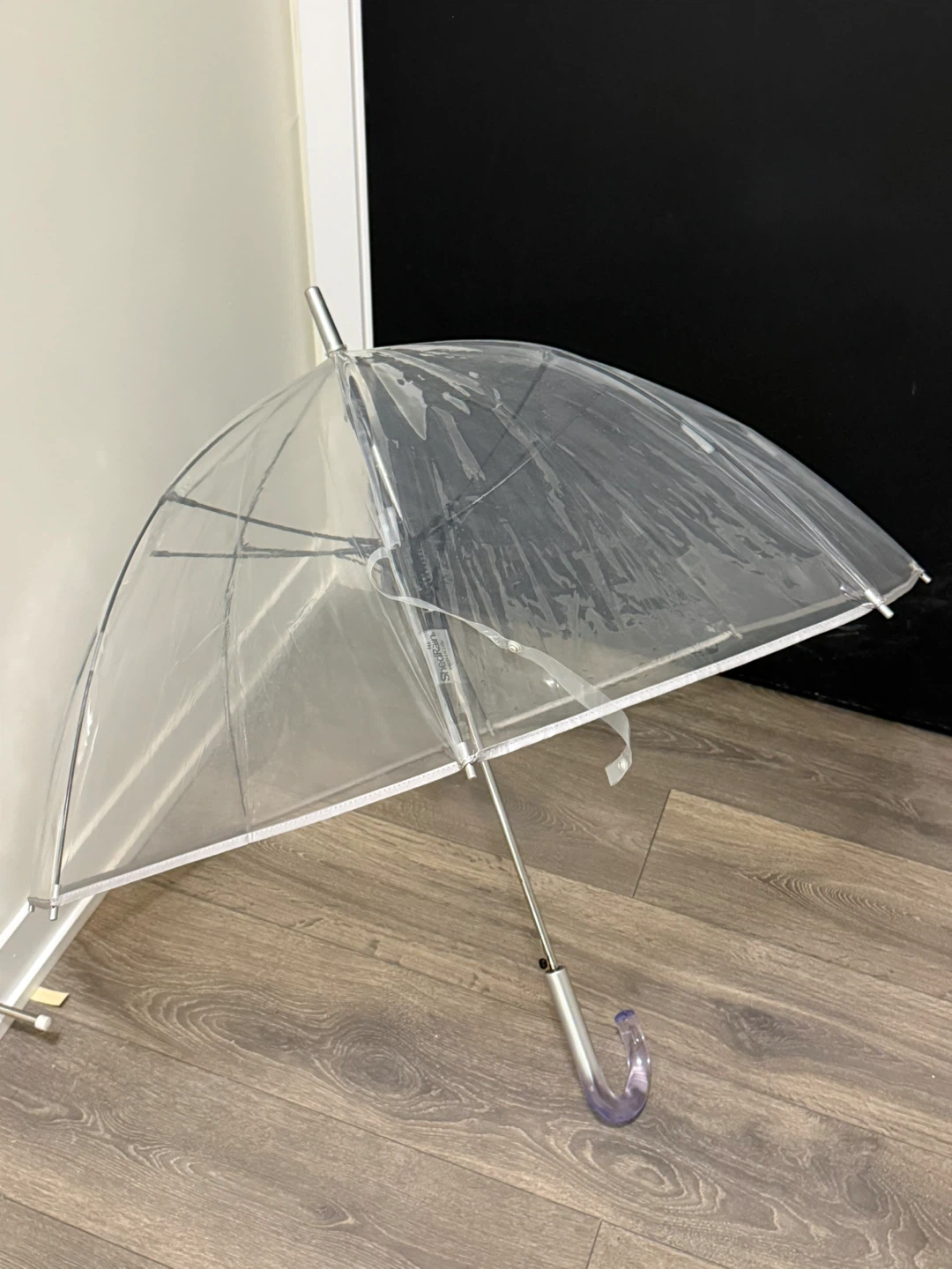 Clear Bubble Umbrella with Purple Hook Handle