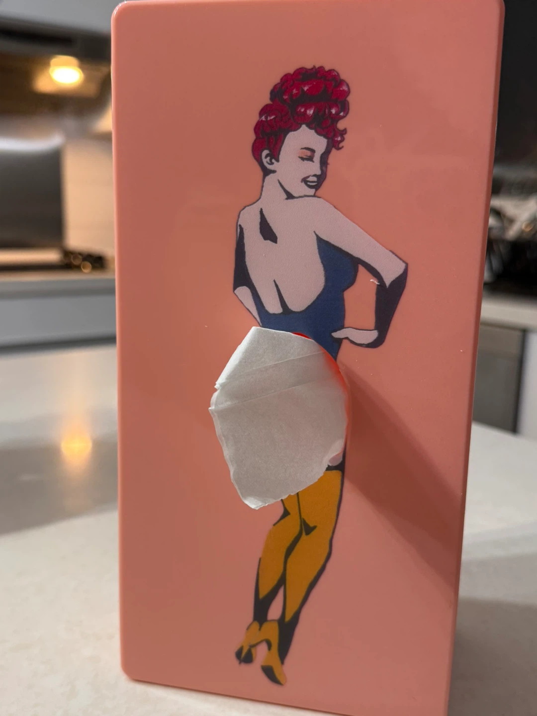 Pink Tissue Box Cover with Pin-up Girl Design