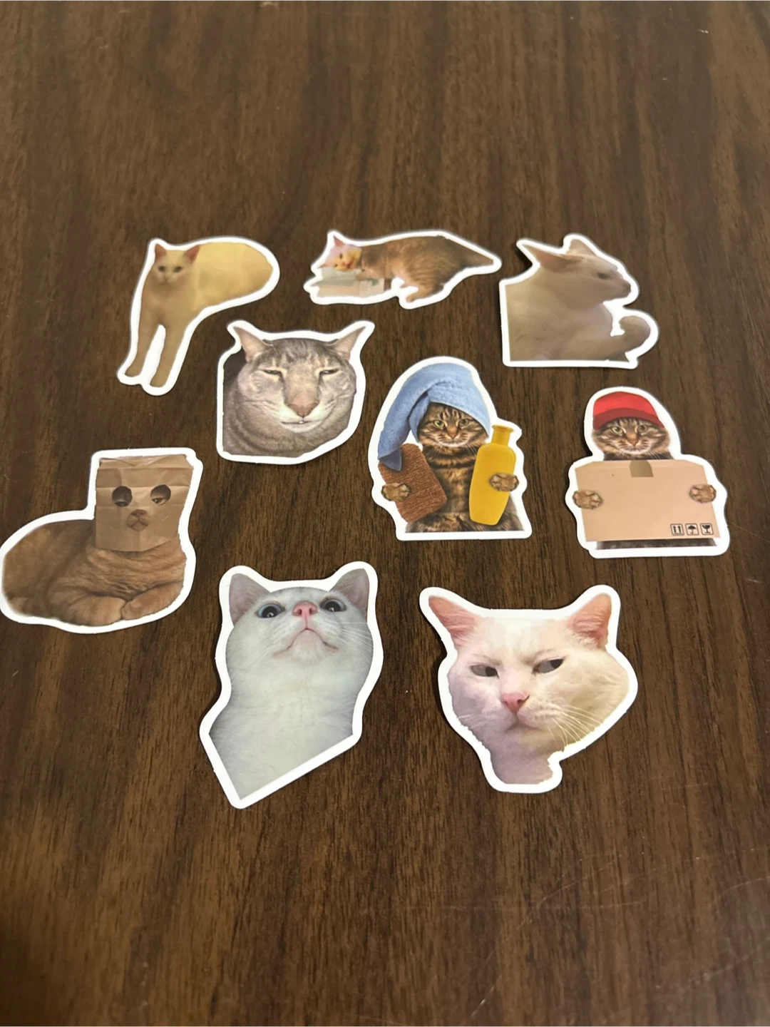 Cat Stickers