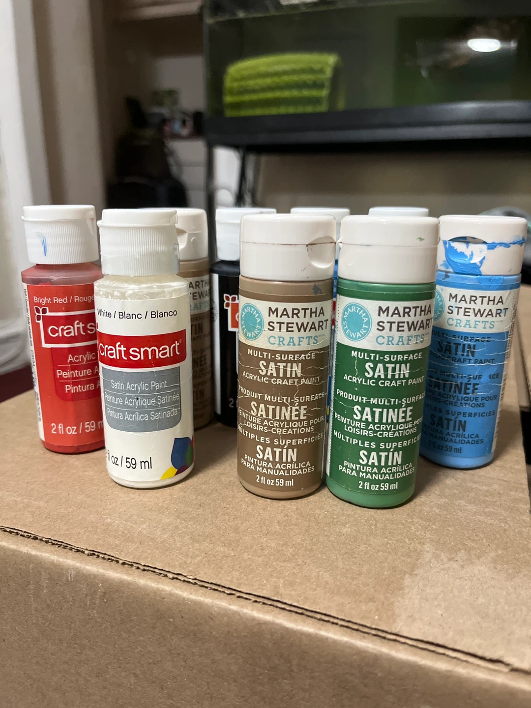 Martha Stewart Crafts & Craft Smart Acrylic Paint Lot