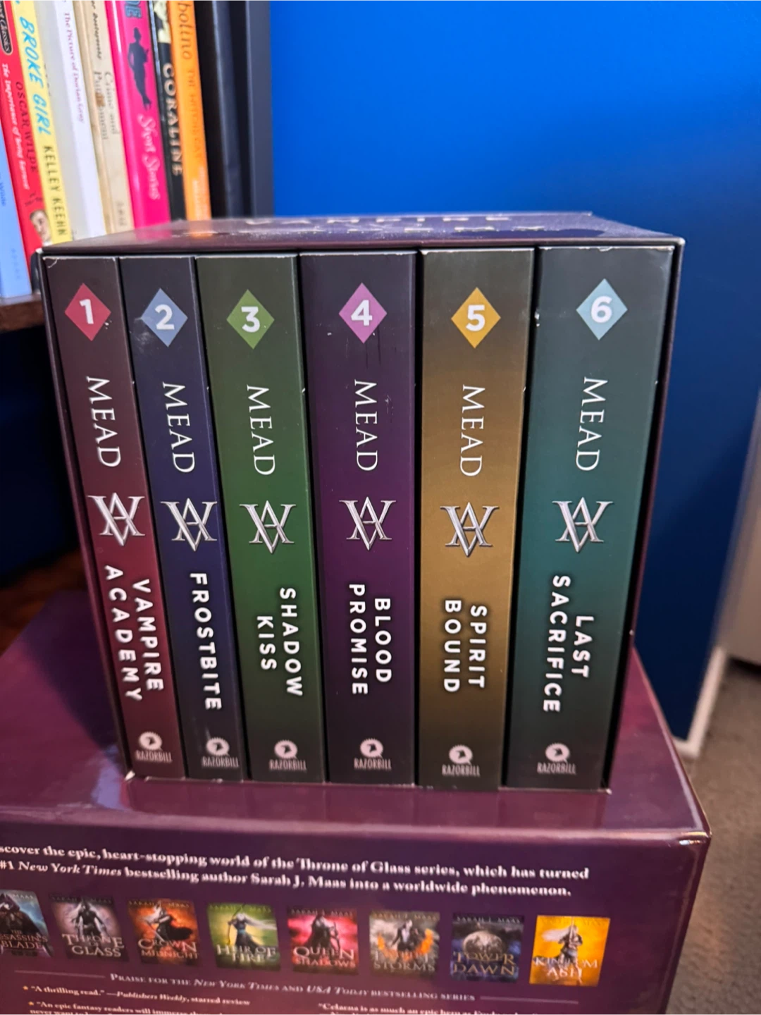 Vampire Academy box set 1-6 books