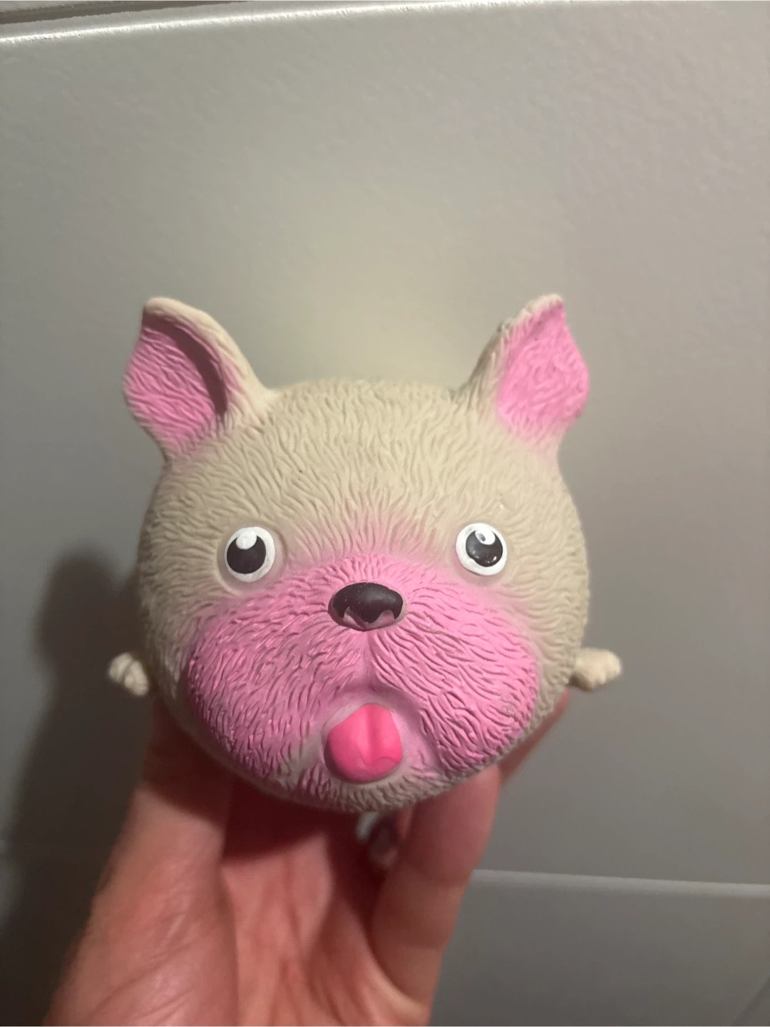 Dog Face Squishy Kids Toy