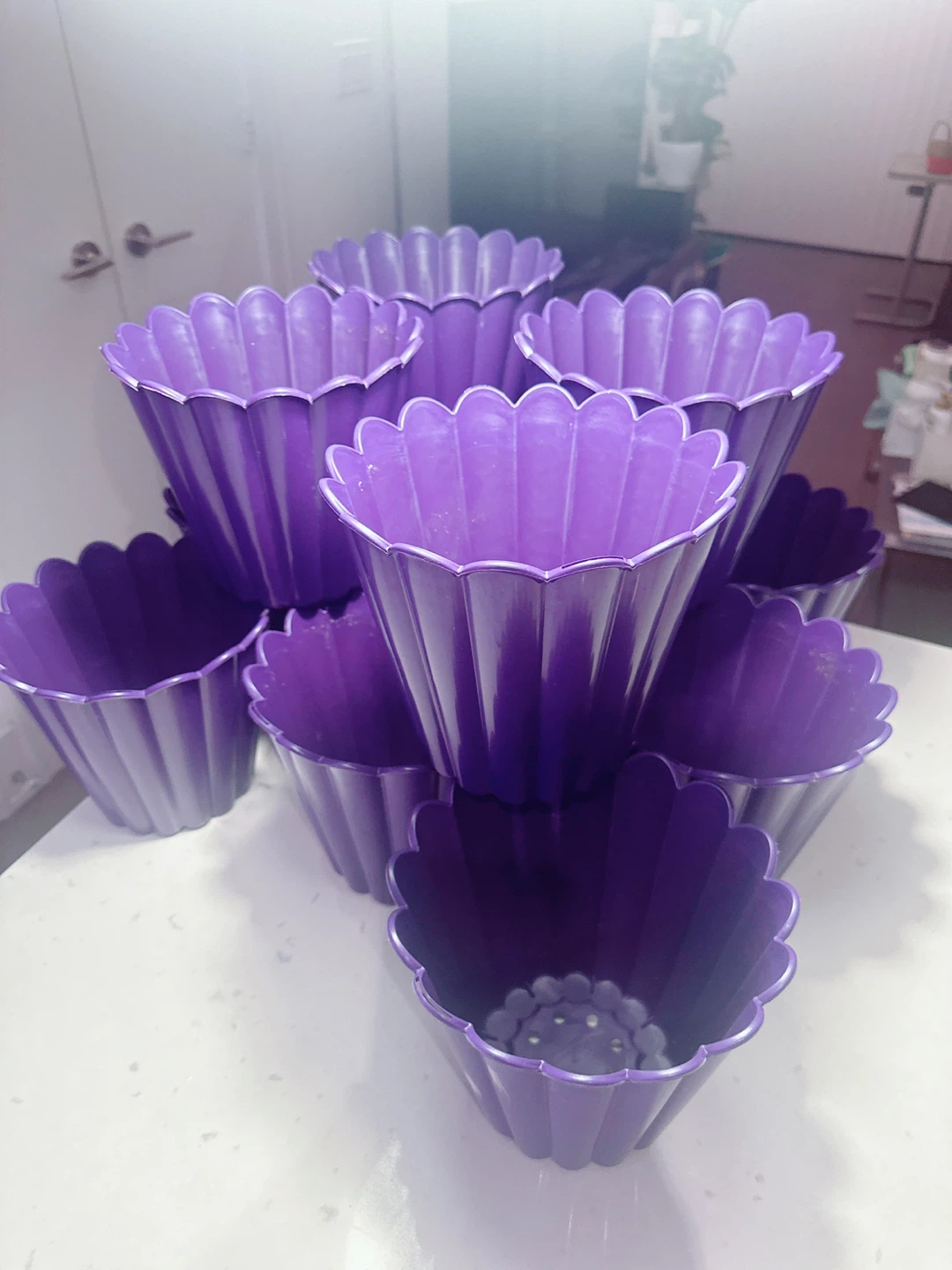 Set of 13 Purple Flower Pots - photo 2
