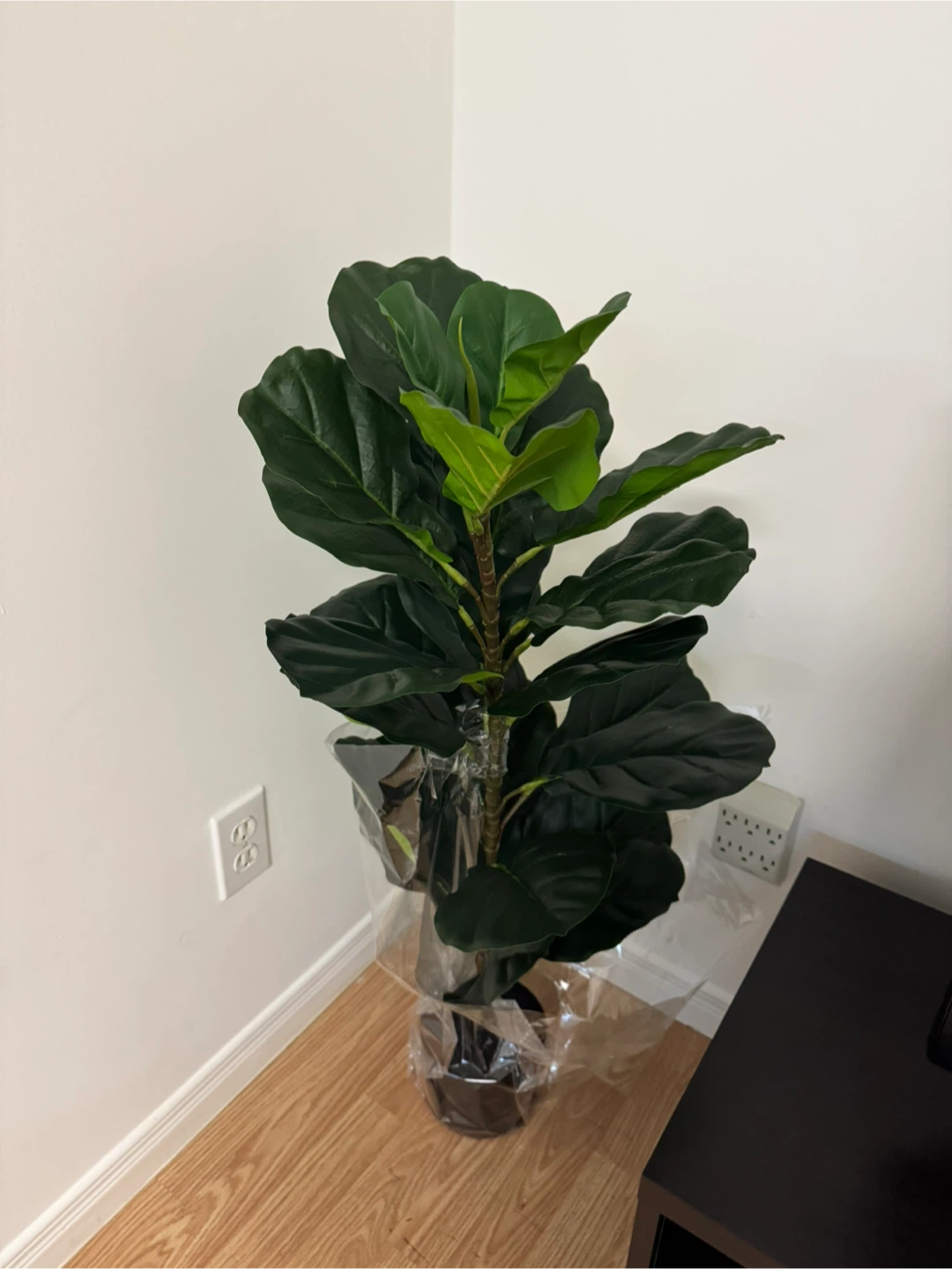 Brand new fake plant - photo 2