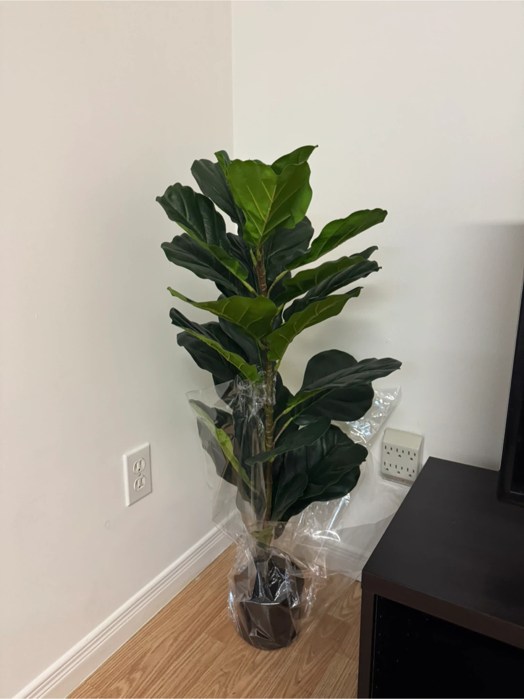 Brand new fake plant