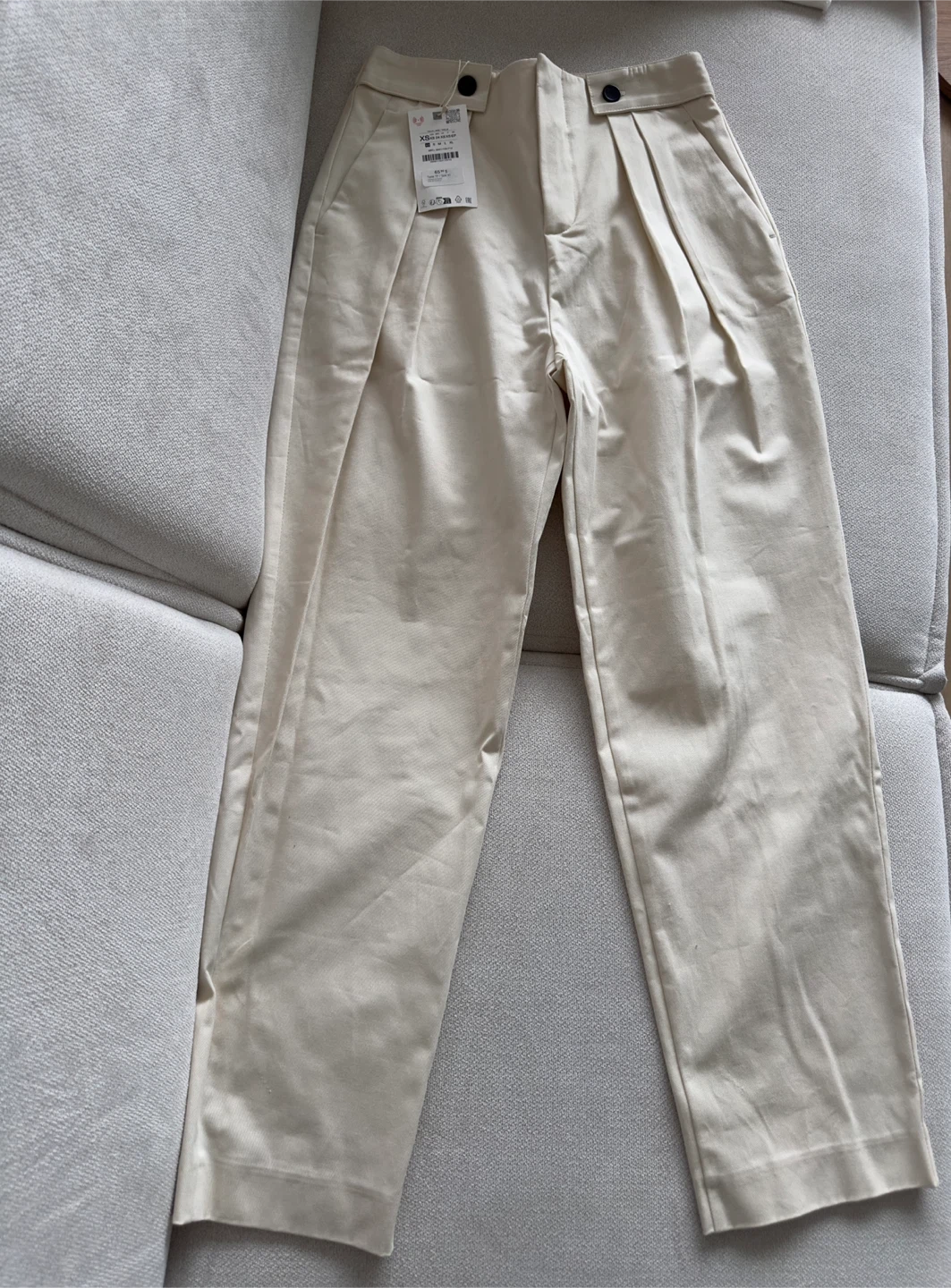 Zara High-Waisted Pleated Trousers