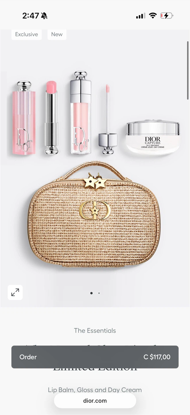 Dior Capture makeup bag