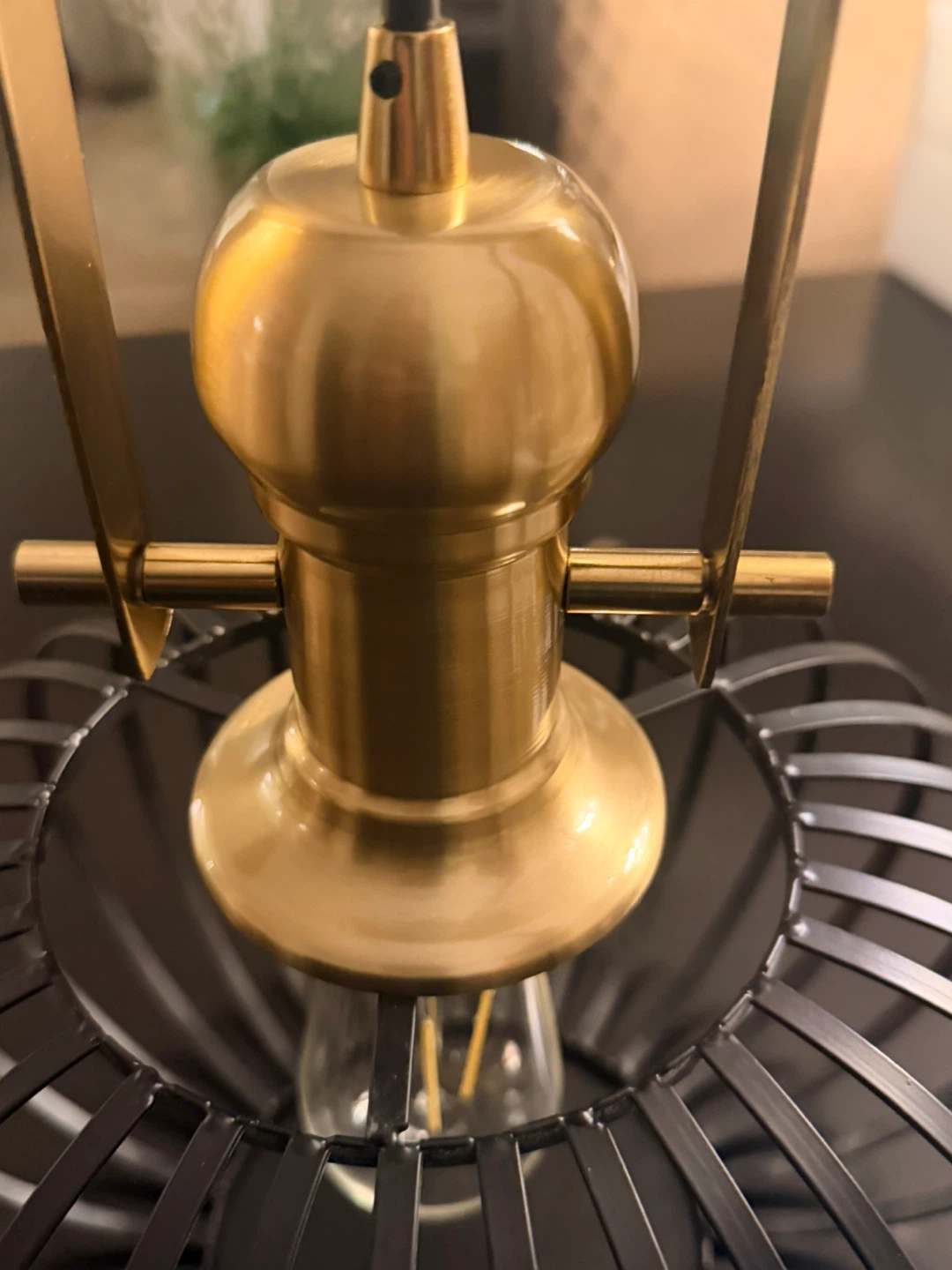 Industrial Cage Pendant Light Fixture - photo 2