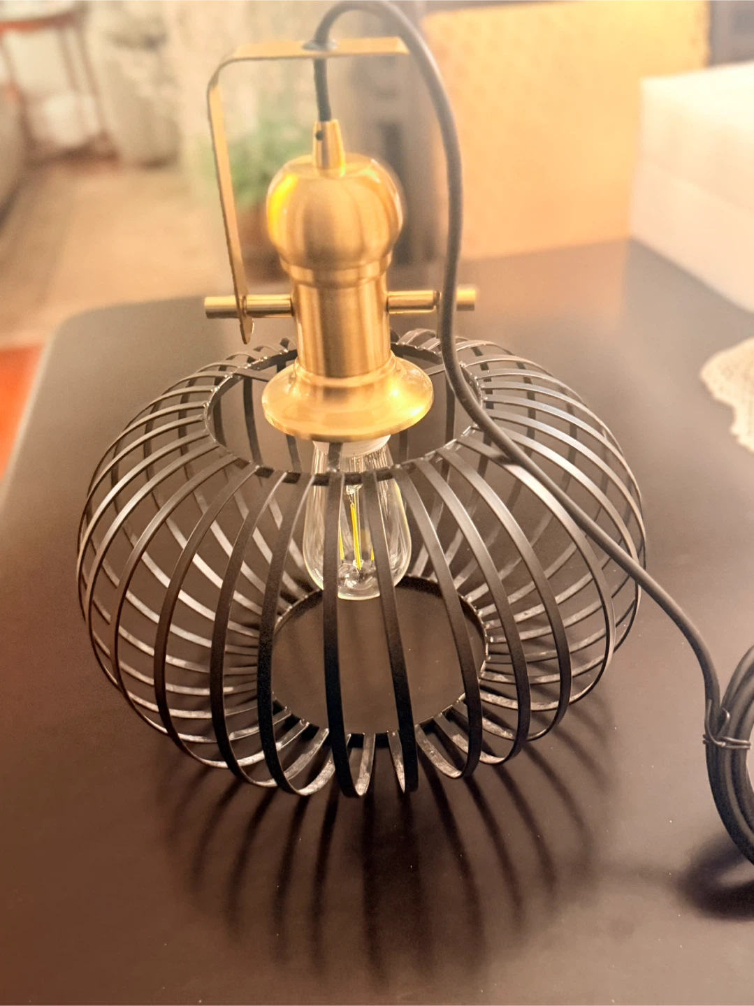 Industrial Cage Pendant Light Fixture