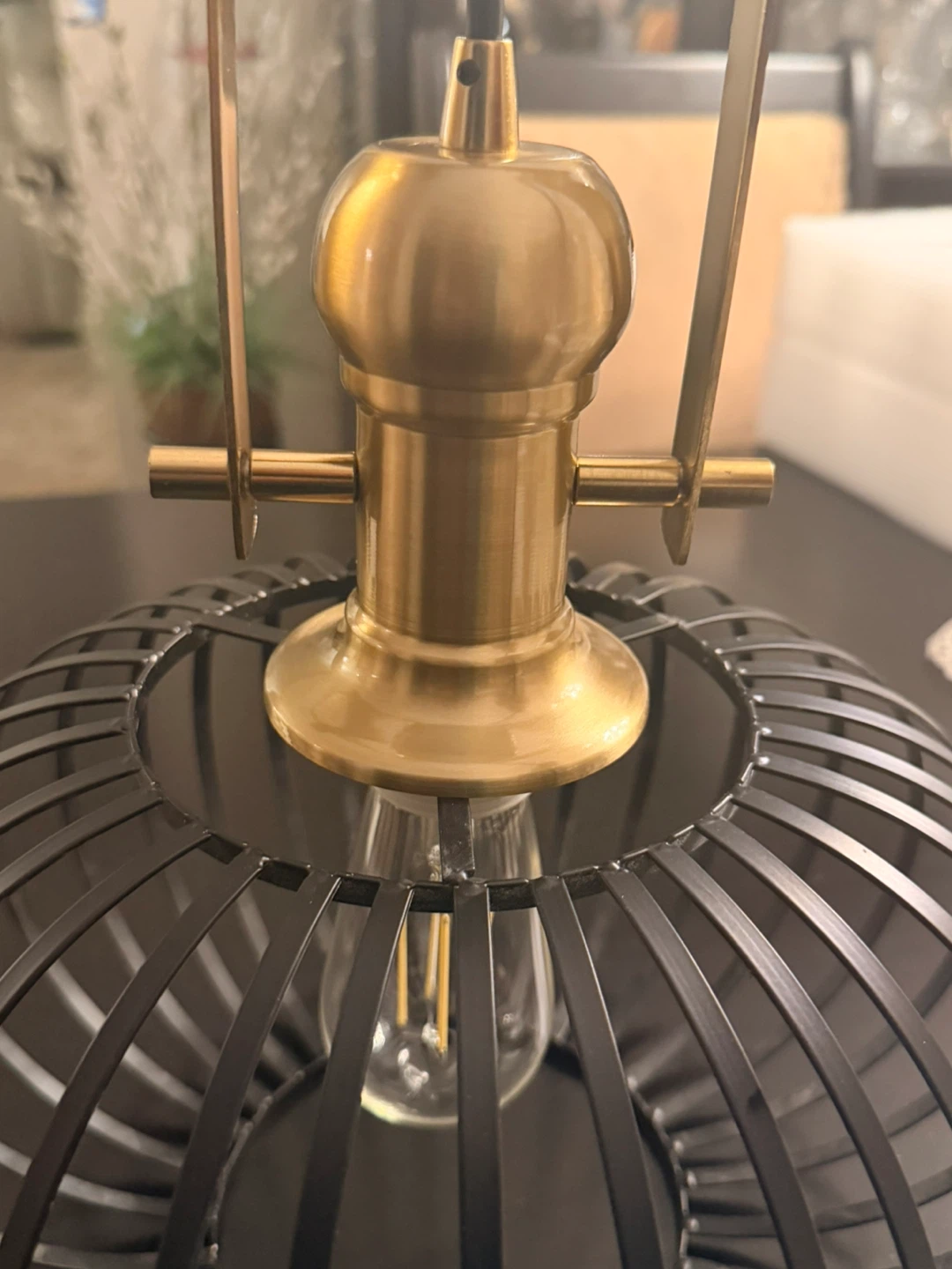 Industrial Cage Pendant Light Fixture - photo 4