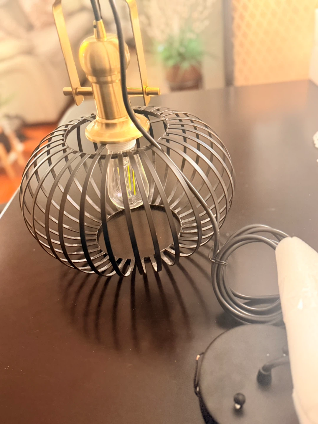 Industrial Cage Pendant Light Fixture - photo 3