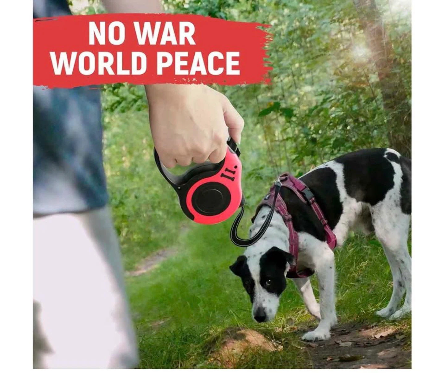 Retractable Dog Leash - photo 5