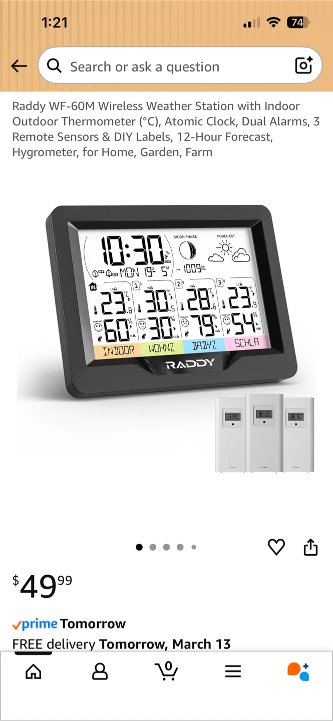 Raddy WF-60M Wireless Weather Station - photo 2