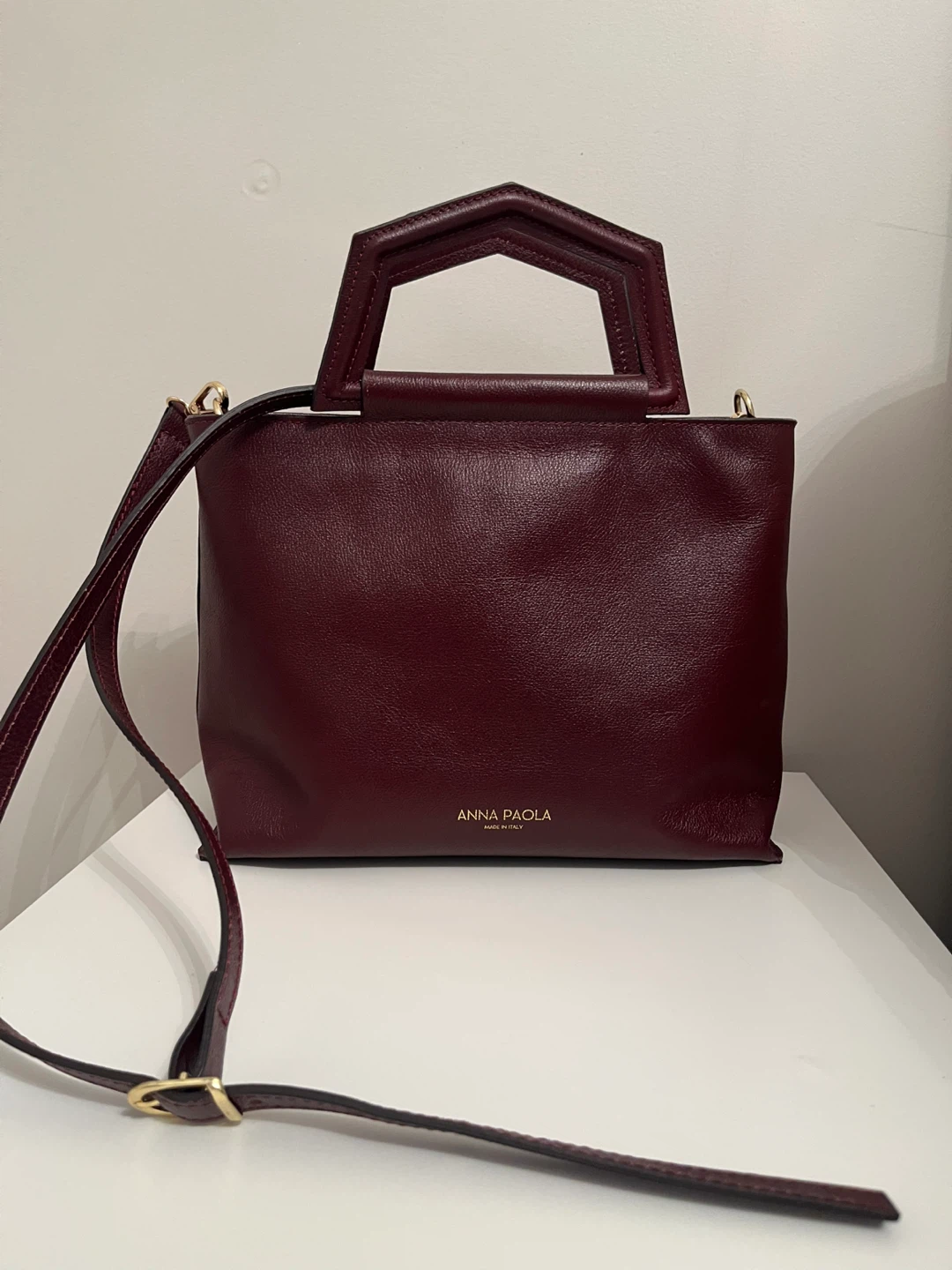 Anna Paola Burgundy Leather Handbag
