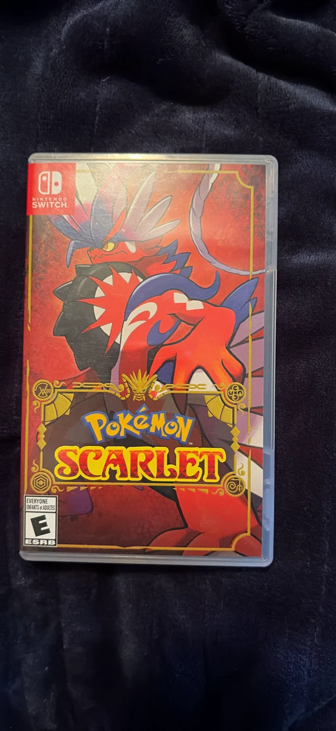 Nintendo switch game