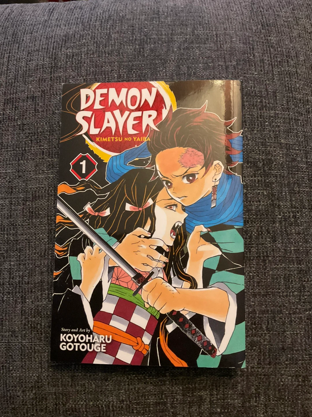 Demon Slayer: Kimetsu no Yaiba, Vol. 1 Manga