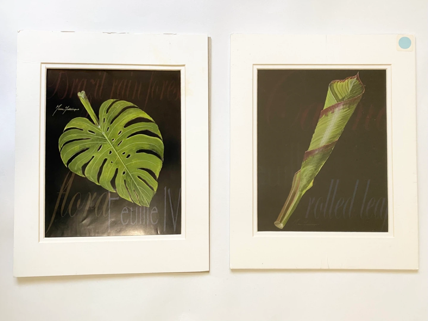 Set of 2 Botanical Art Prints
