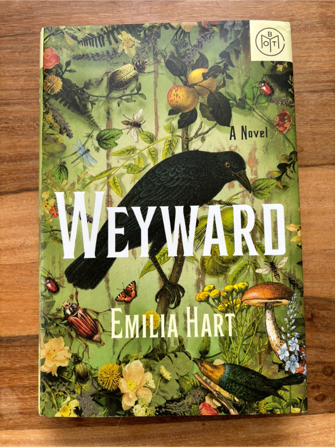 Weyward by Emilia Hart - Hardcover