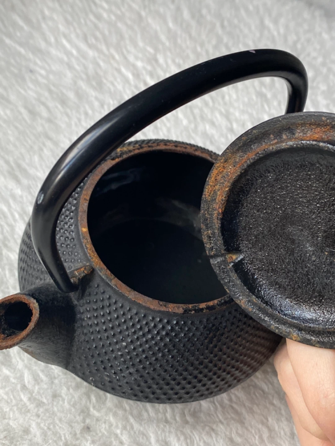 Antique Japanese Cast Iron (Nanbu Tekki) teapot - photo 3