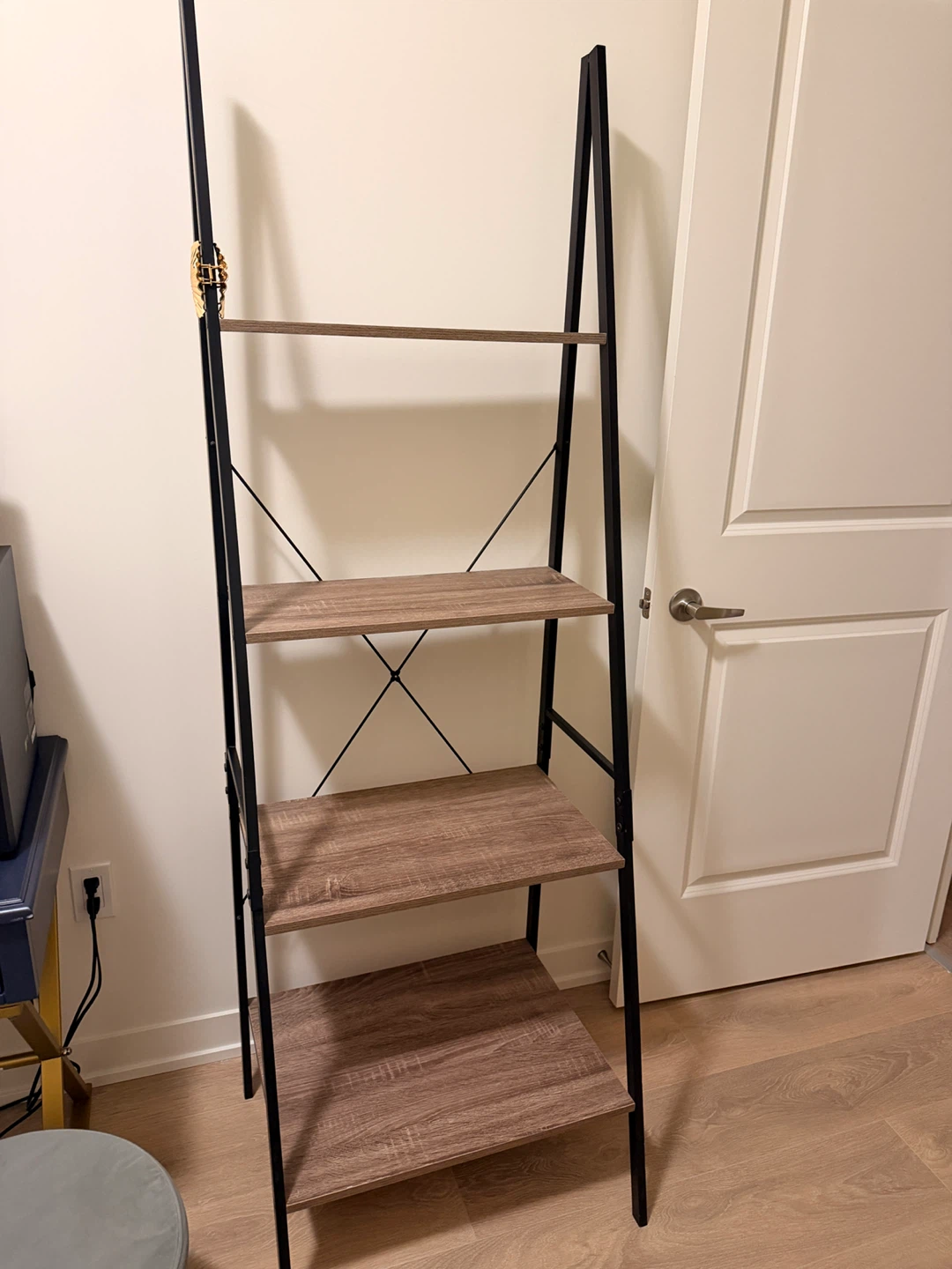 Ladder Bookshelf