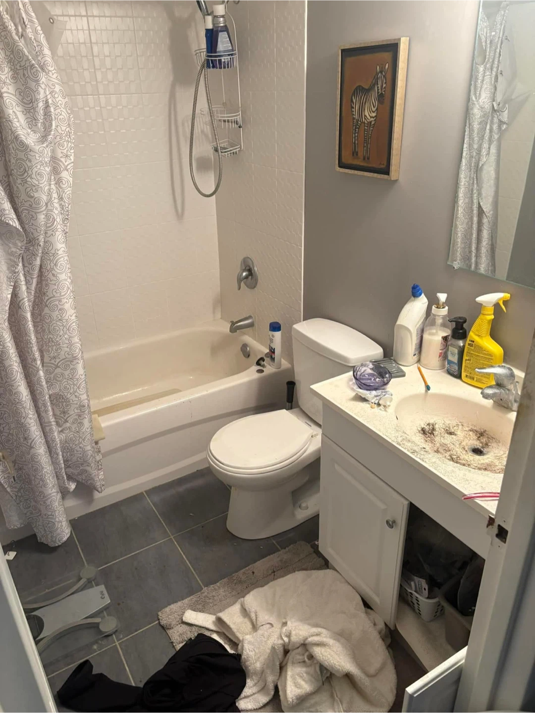Cleaning ocd Niagara