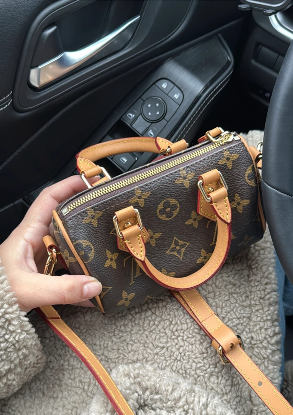 Louis Vuitton Speedy Nano Monogram Bag