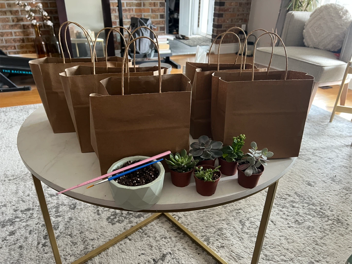 Set of 6 Succulents with Decorative Pot Kits
