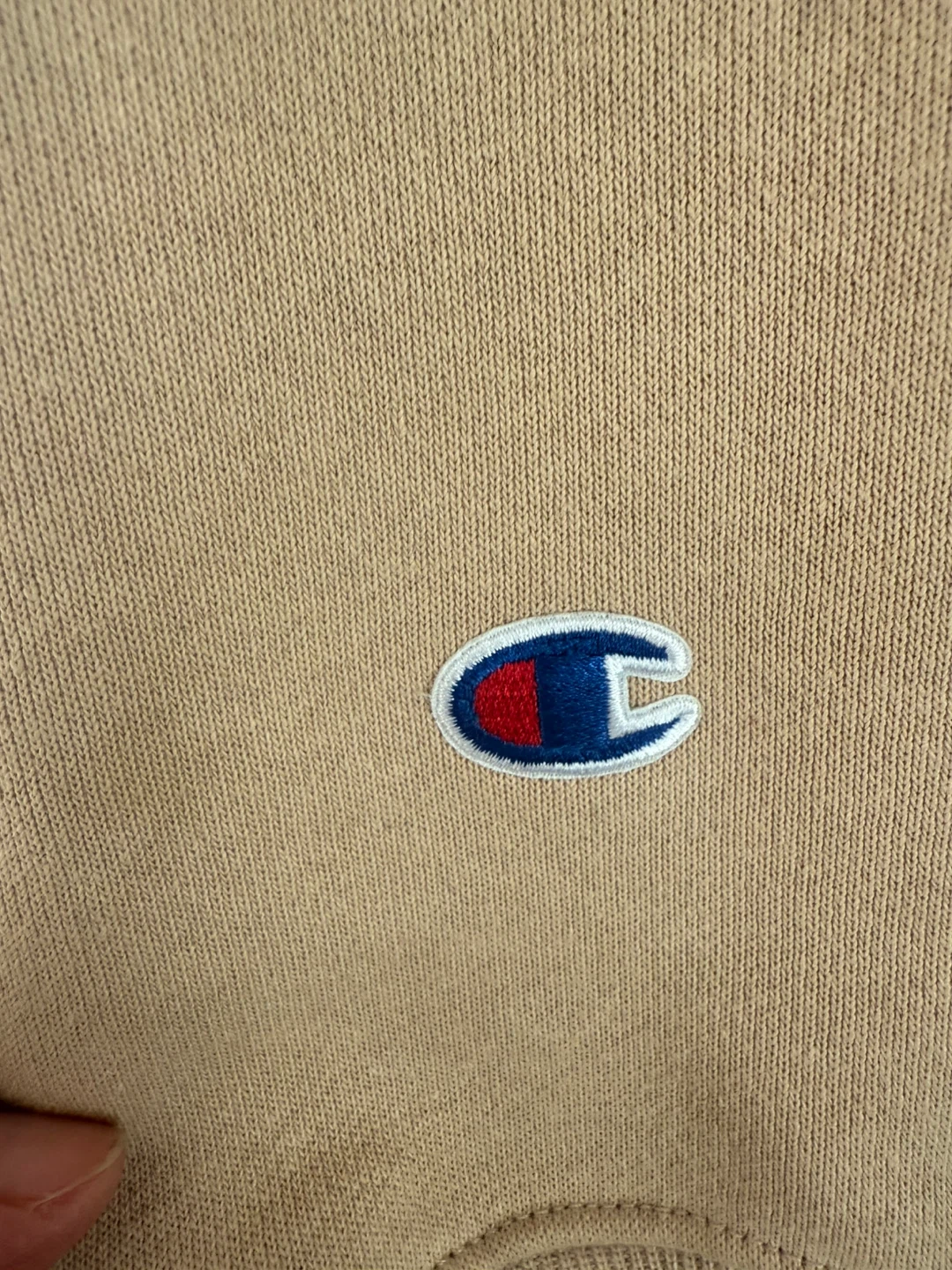 Champion Reverse Weave Hoodie - photo 4